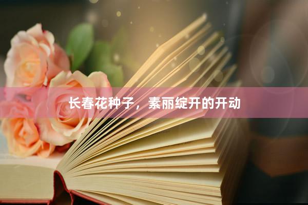 长春花种子，素丽绽开的开动